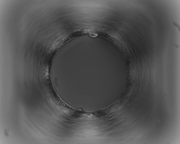 X0000099950502200806061545