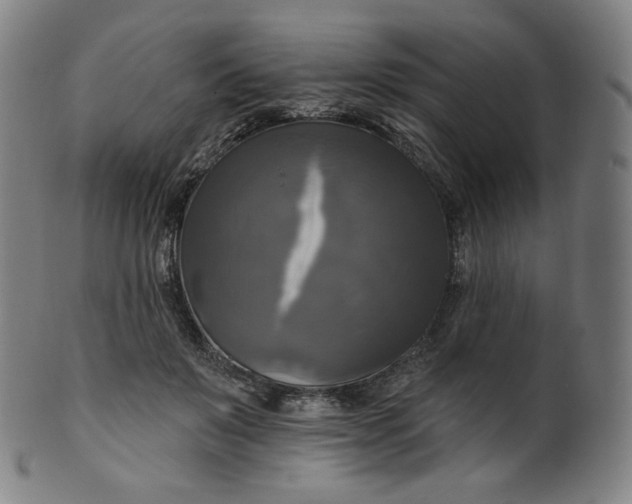 X0000099950503200806061545