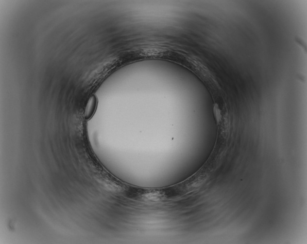 X0000099950505200806061545