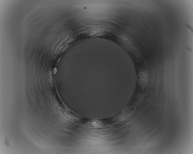 X0000099950506200806061545