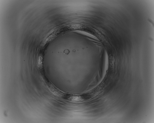 X0000099950507200806061545