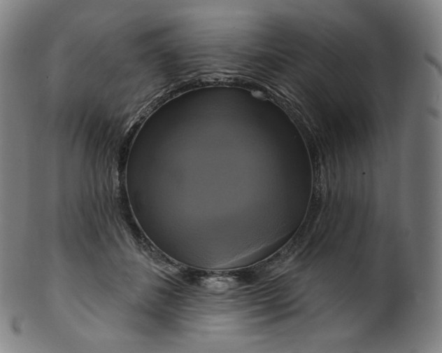 X0000099950508200806061545