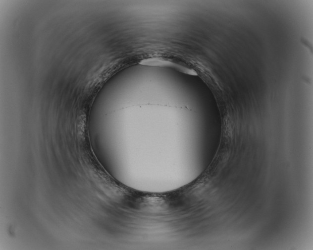 X0000099950509200806061545