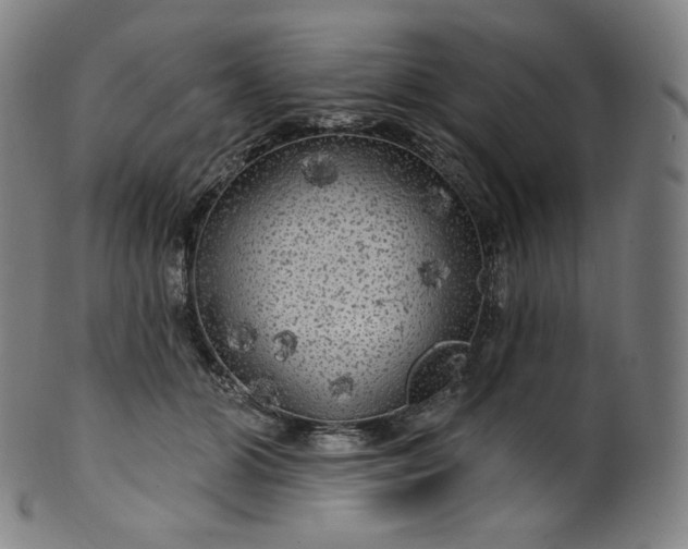 X0000099950510200806061545