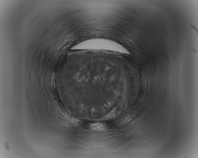 X0000099950511200806061545