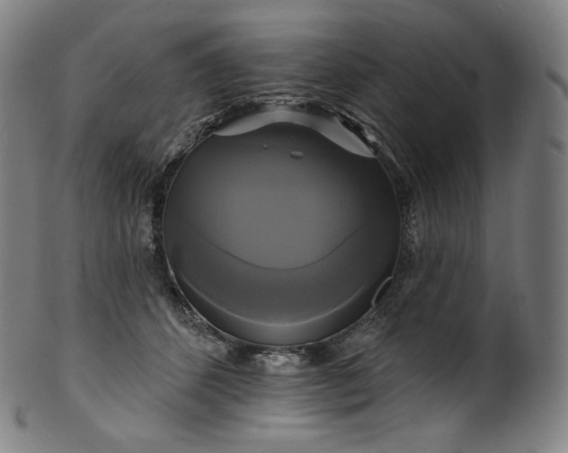 X0000099950512200806061545