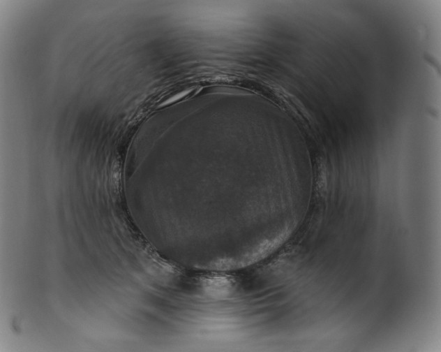 X0000099950513200806061545