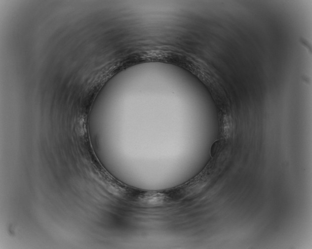 X0000099950514200806061545