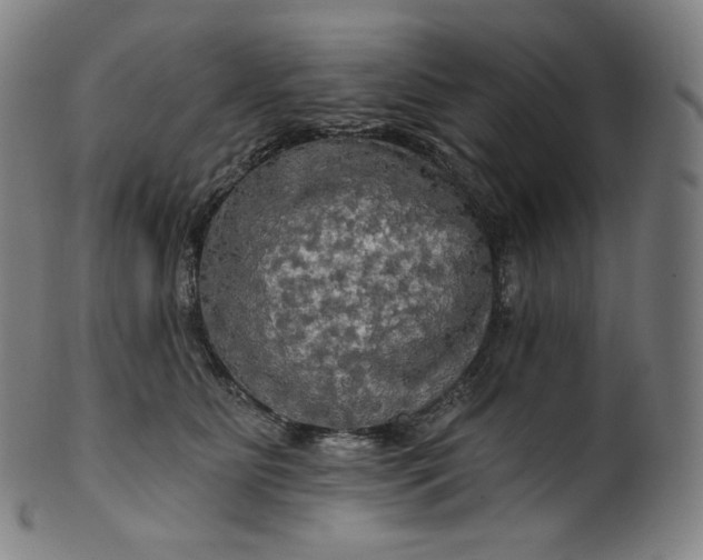 X0000099950515200806061545