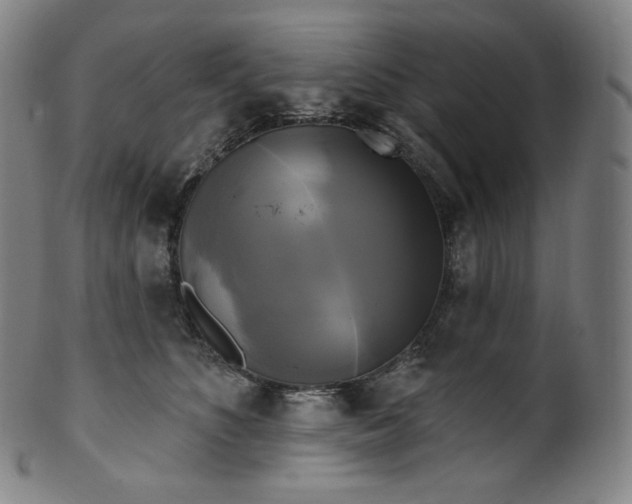 X0000099950516200806061545