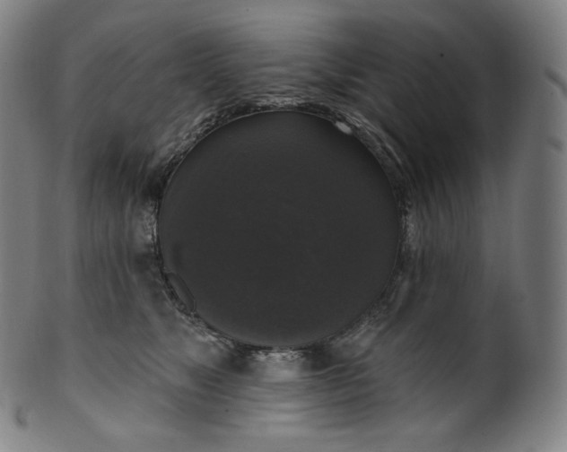 X0000099950517200806061545