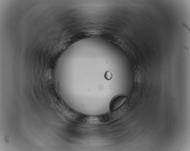 X0000099950518200806061545