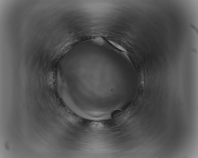 X0000099950519200806061545