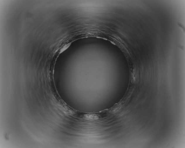 X0000099950520200806061545