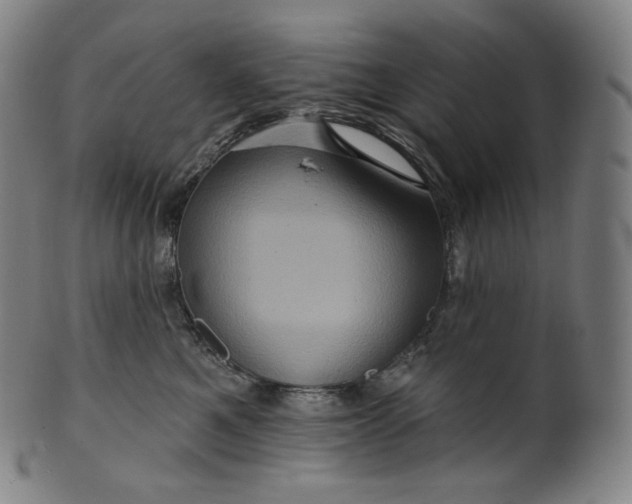 X0000099950521200806061545