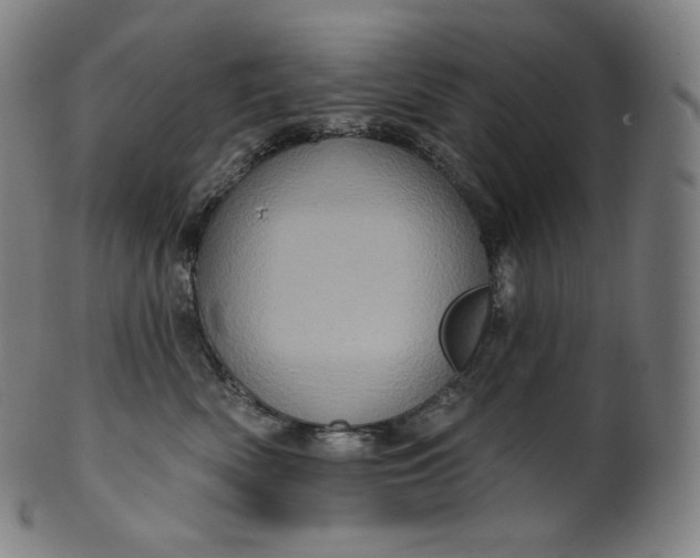 X0000099950522200806061545