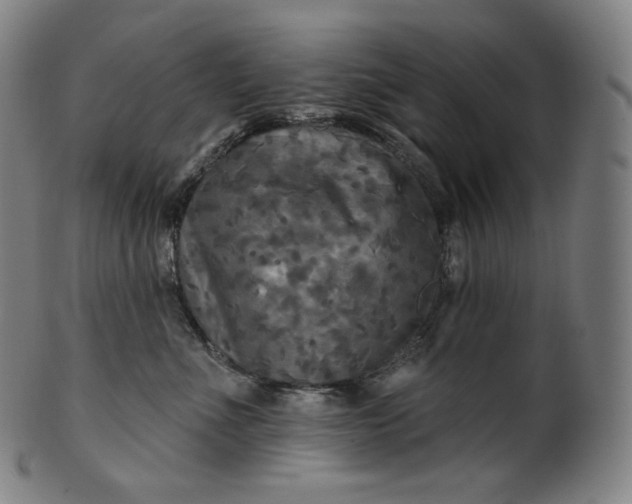 X0000099950523200806061545