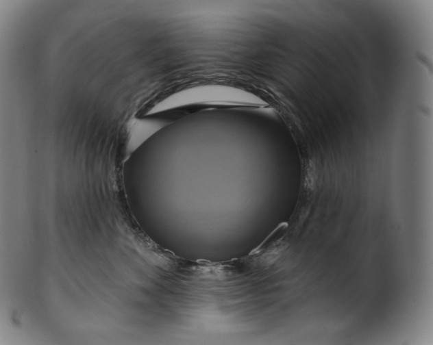 X0000099950524200806061545