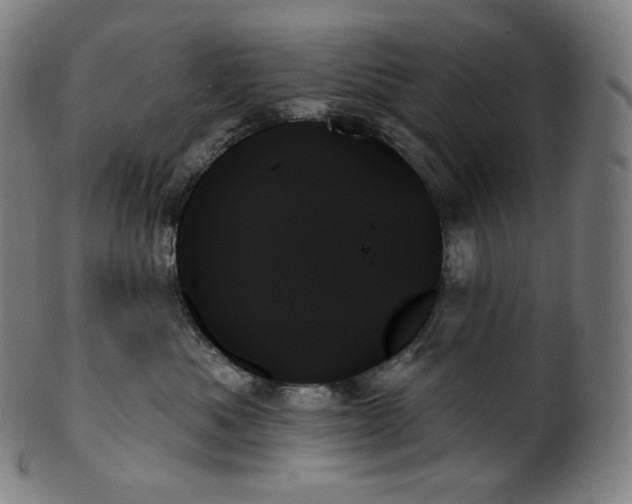 X0000099950525200806061545