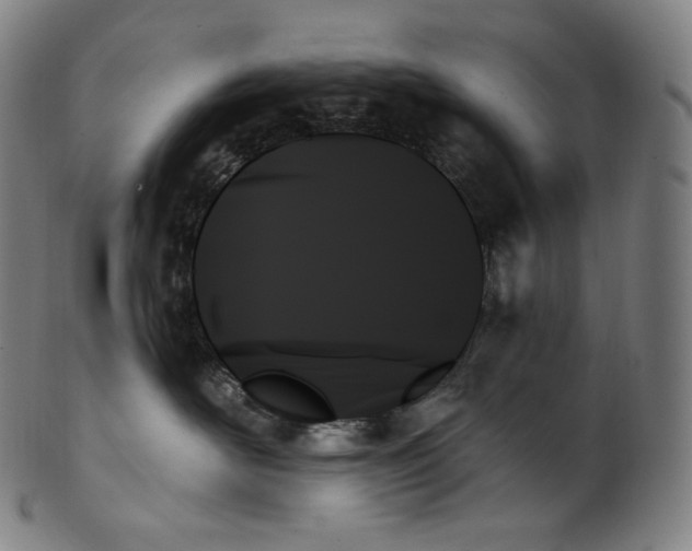 X0000099950526200806061545