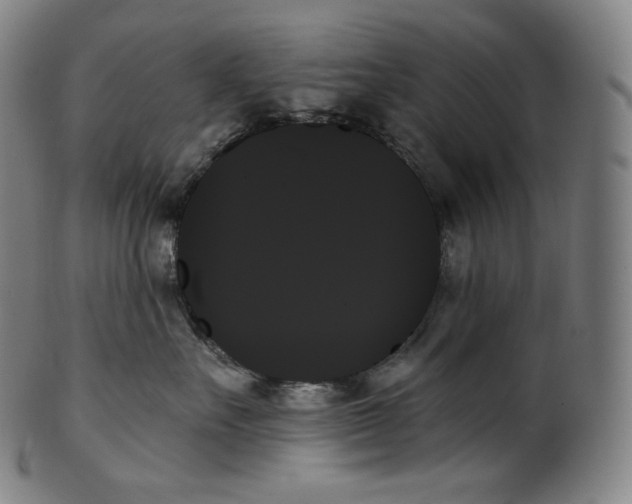 X0000099950527200806061545