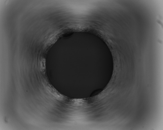 X0000099950528200806061545