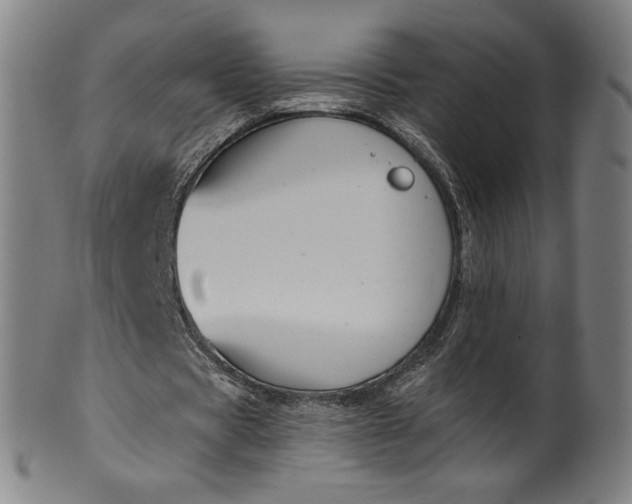 X0000099950529200806061544