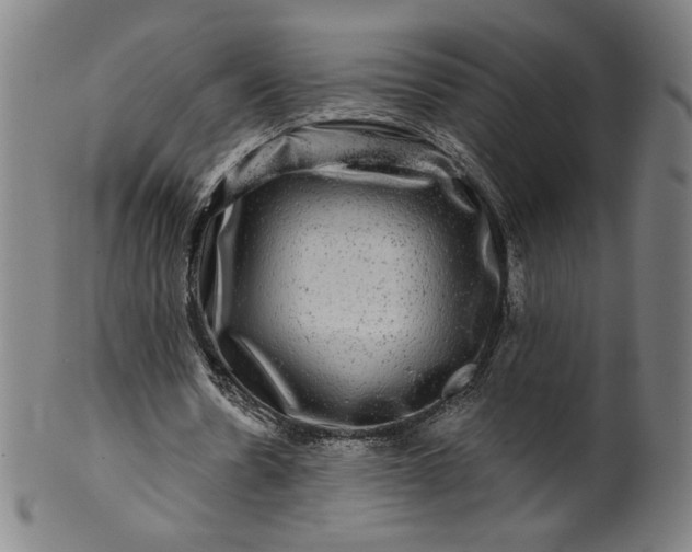 X0000099950530200806061544