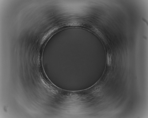 X0000099950531200806061544