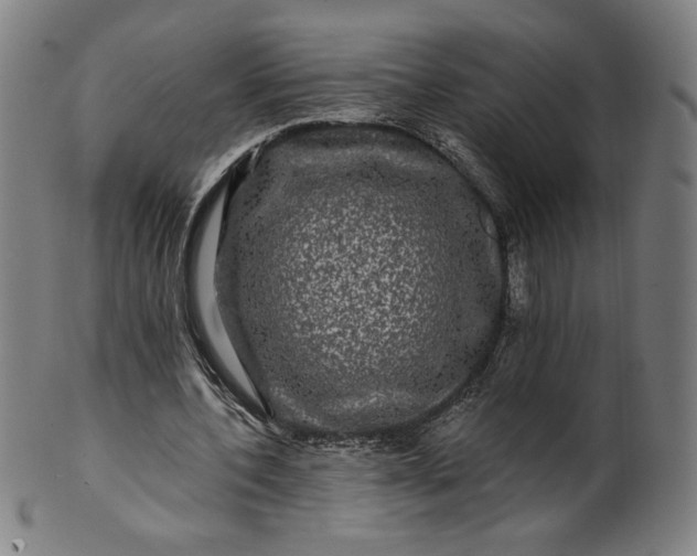 X0000099950532200806061544