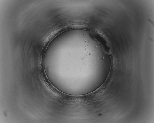 X0000099950533200806061544