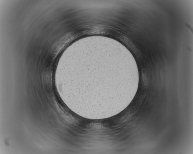 X0000099950534200806061544