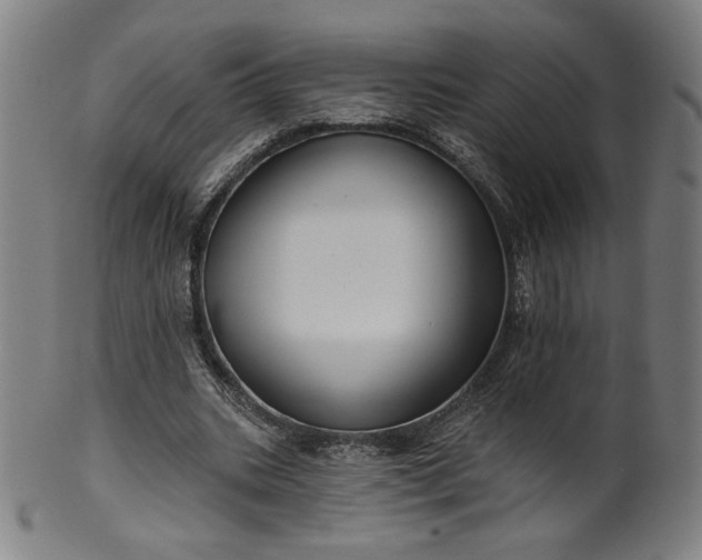 X0000099950535200806061544