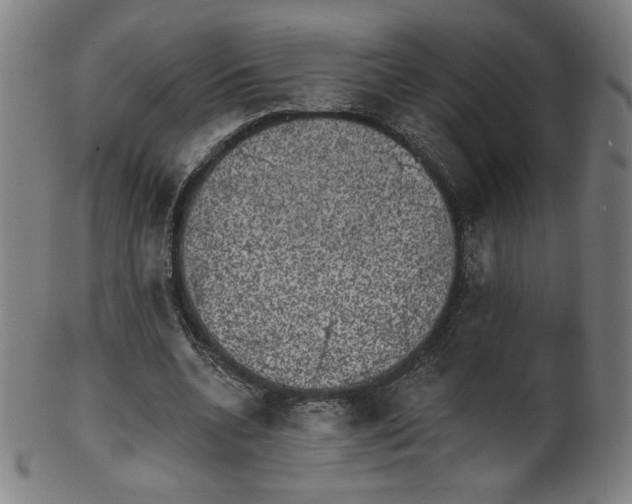 X0000099950536200806061544