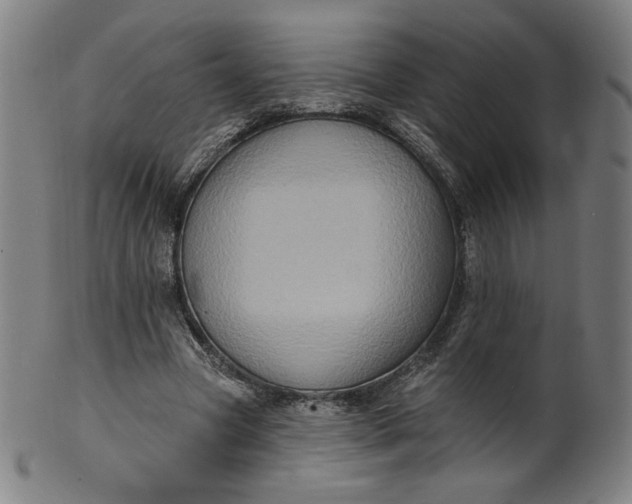 X0000099950537200806061544