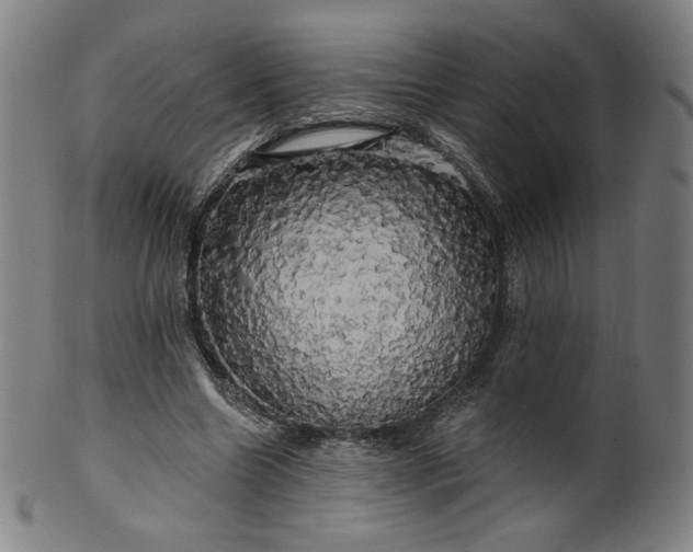 X0000099950538200806061544