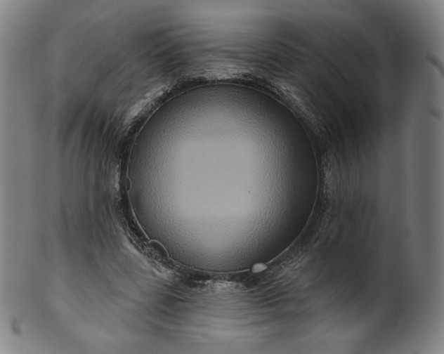 X0000099950539200806061544