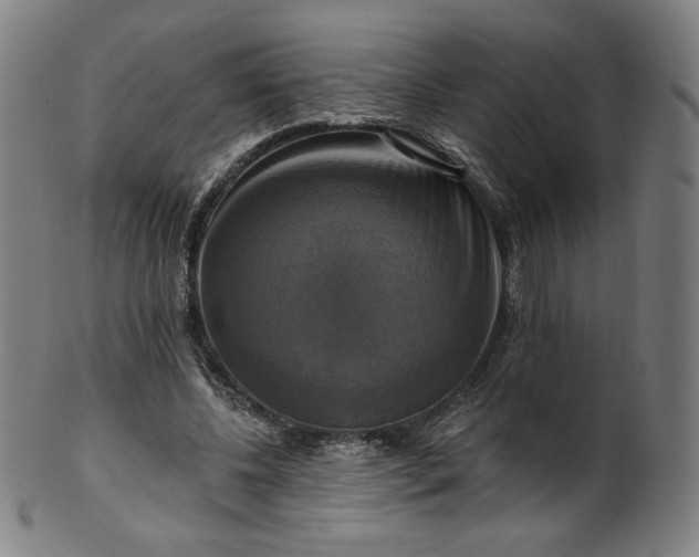 X0000099950540200806061544