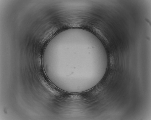 X0000099950541200806061544