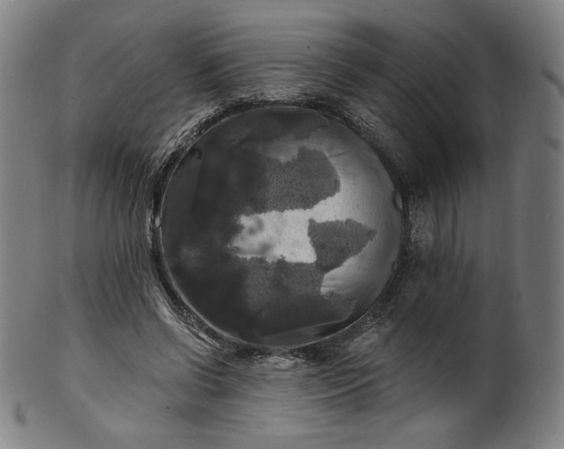 X0000099950542200806061544