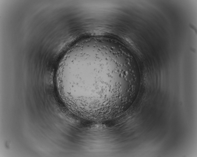 X0000099950543200806061544