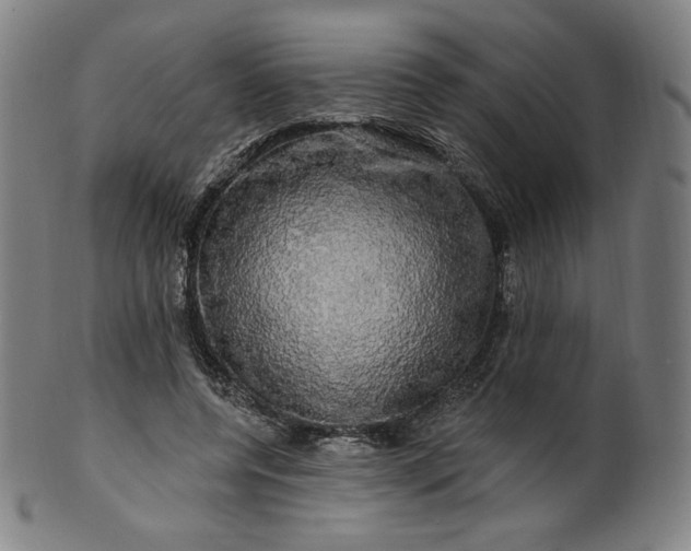 X0000099950544200806061544