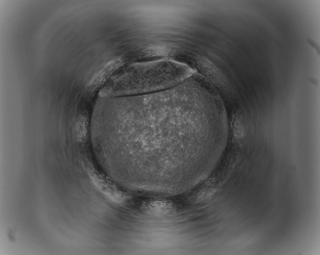 X0000099950546200806061544