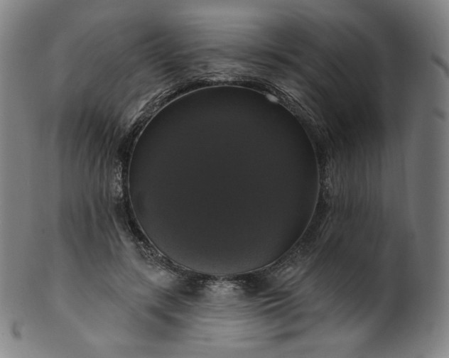 X0000099950547200806061544