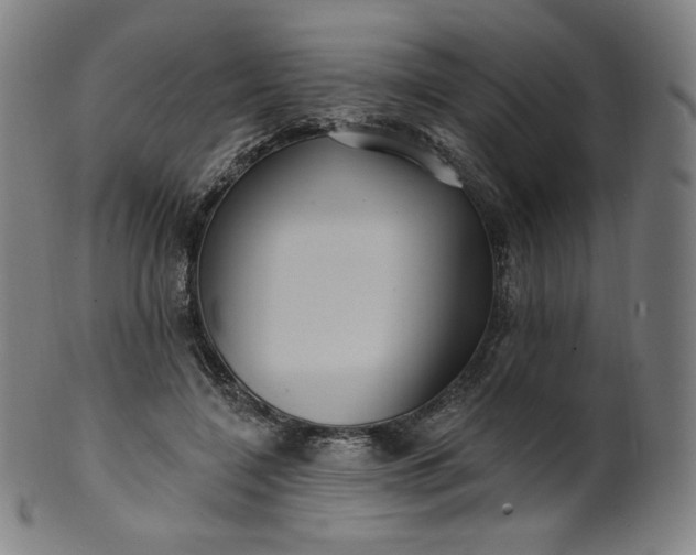 X0000099950548200806061544