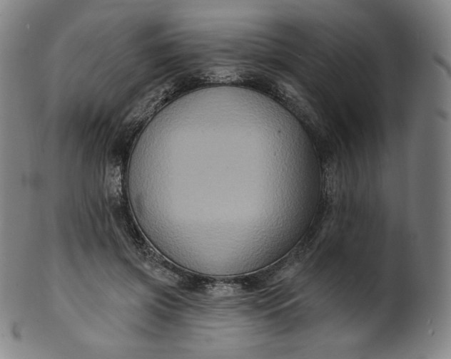 X0000099950549200806061544