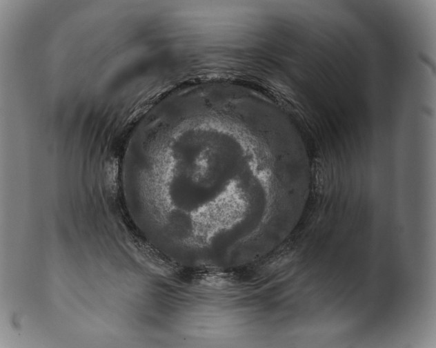 X0000099950550200806061544