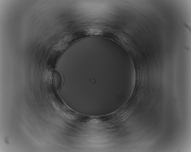 X0000099950551200806061544