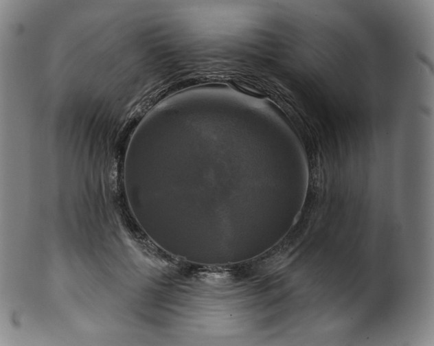 X0000099950552200806061544