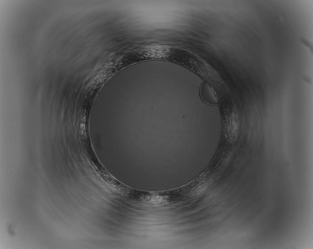 X0000099950553200806061544